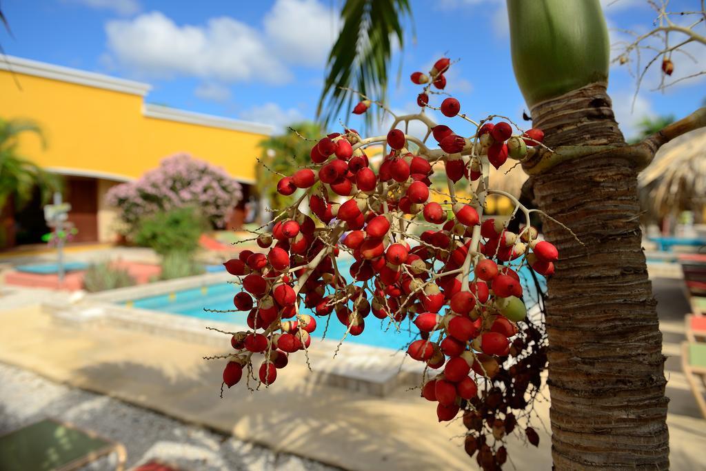 Ferienwohnung Djambo (Adults Only) Playa Exterior foto